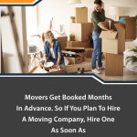 Alice; 'and I.Blog Photo