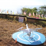 Duck. 'Found.Blog Photo